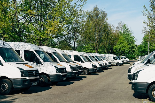 Fleet of school buses